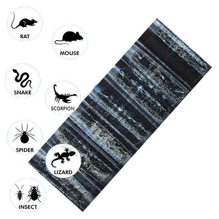 Pack de 3 Tapis Pièges Collants Anti-Souris & Rats XXL (120 x 28 cm)